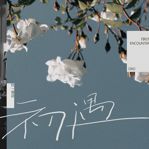 日本体内射精汇编20
